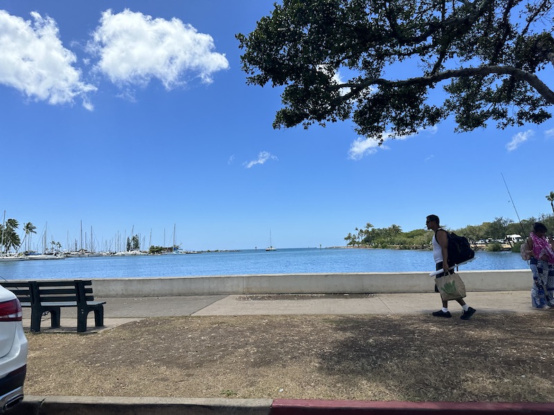 マジックアイランドへの散歩道